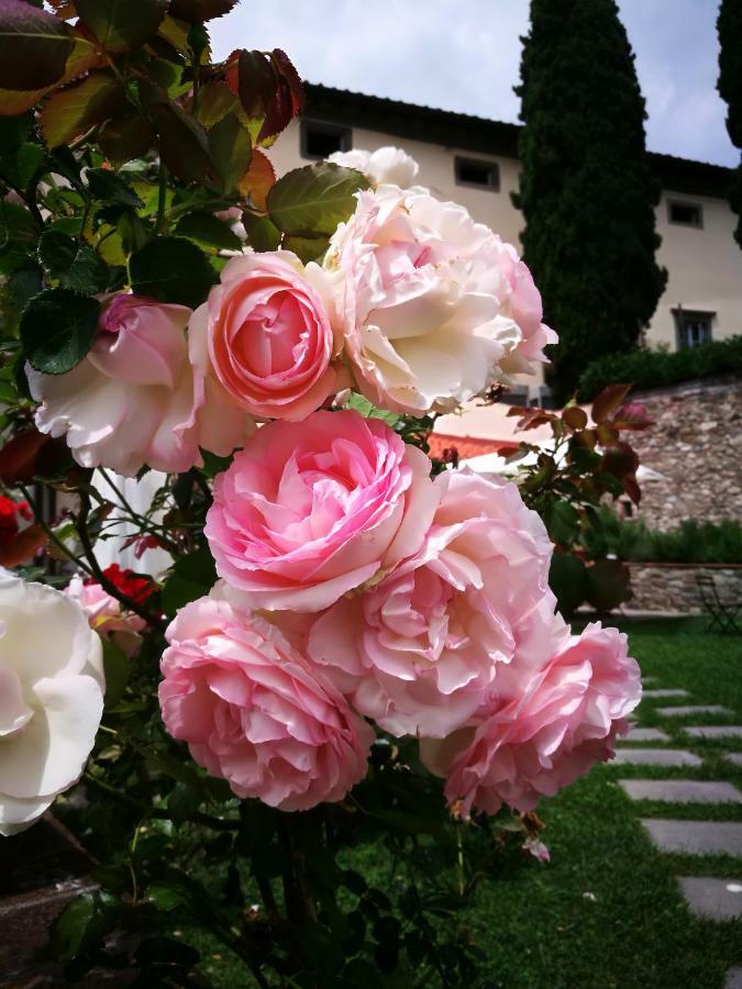 Palazzo Boccella Guest House Villa Basilica ภายนอก รูปภาพ