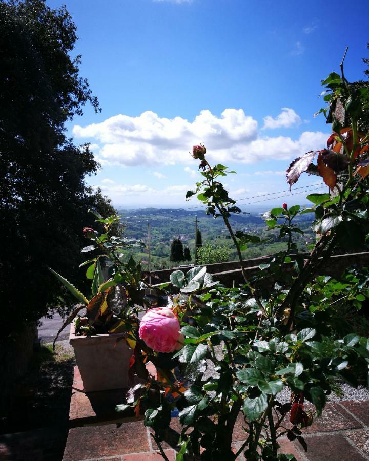 Palazzo Boccella Guest House Villa Basilica ภายนอก รูปภาพ