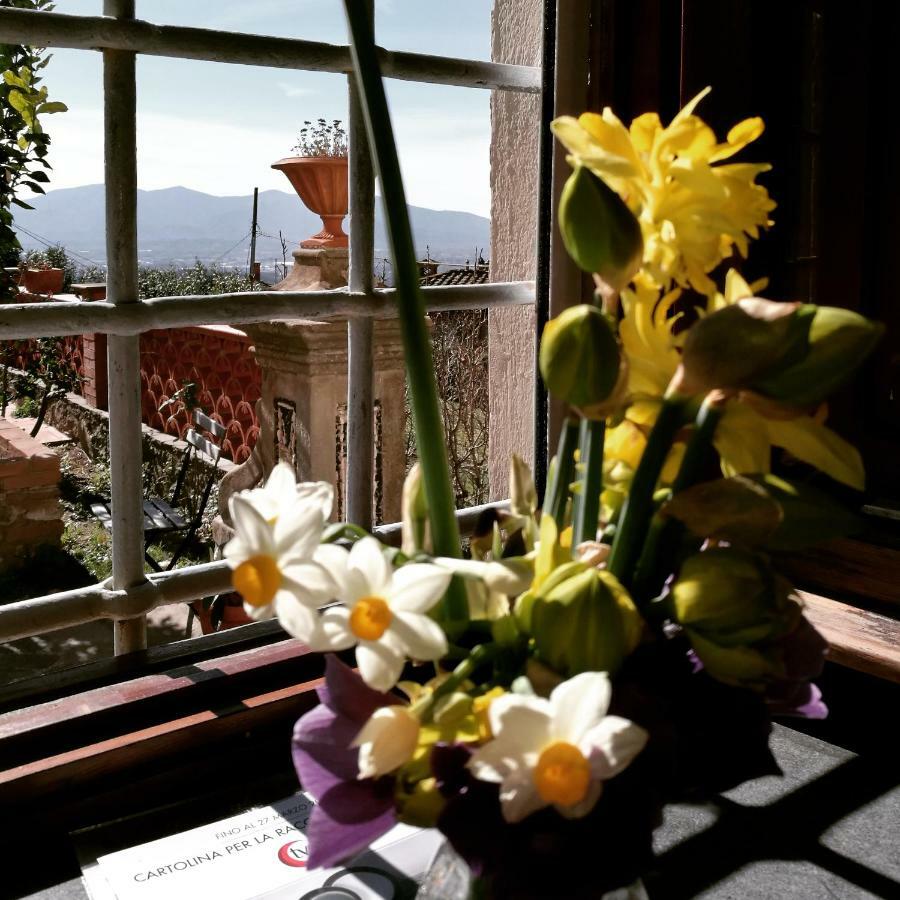 Palazzo Boccella Guest House Villa Basilica ภายนอก รูปภาพ
