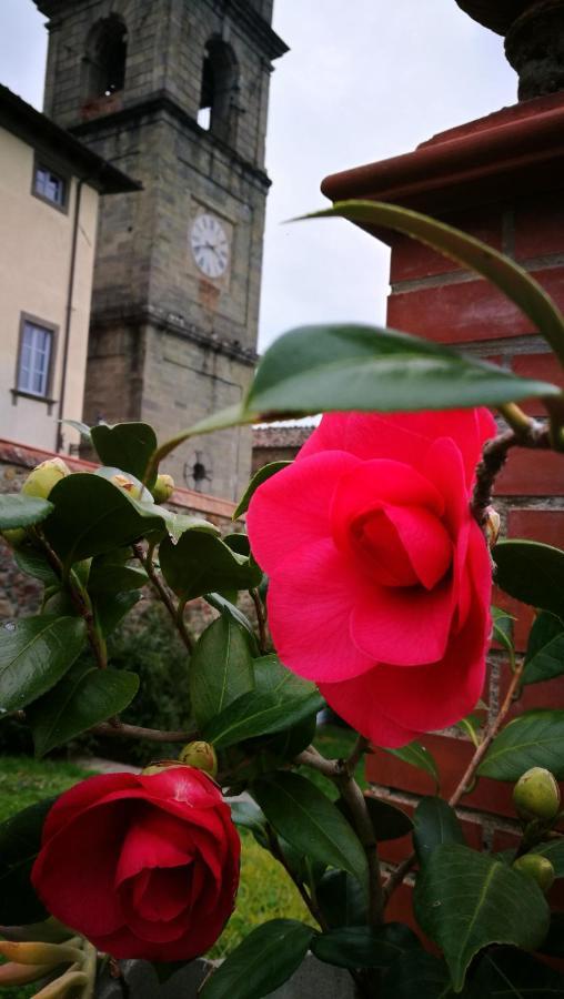 Palazzo Boccella Guest House Villa Basilica ภายนอก รูปภาพ